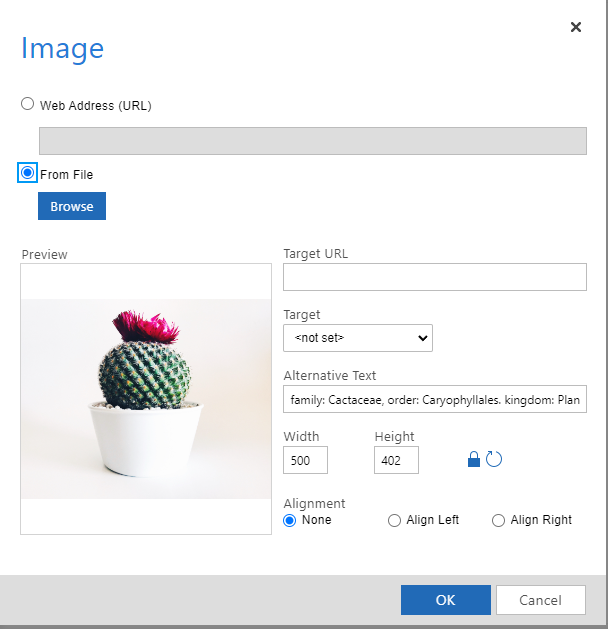 Přidávání obrázků v Dynamics 365